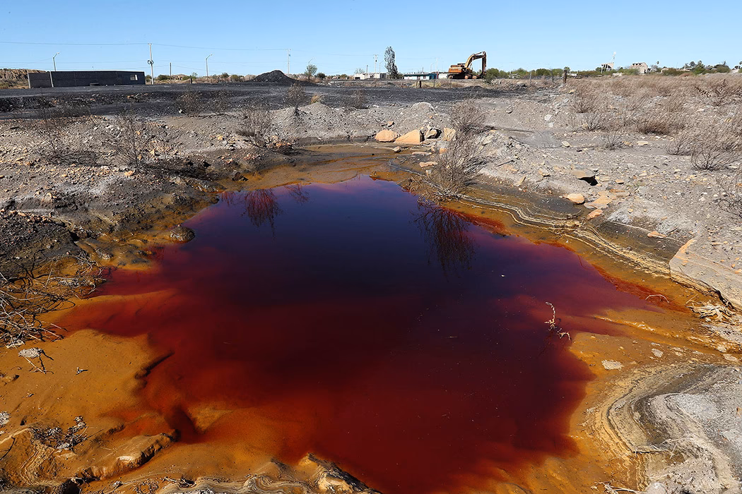 ¿Cuáles son los efectos del consumo de agua y alimentos contaminados?