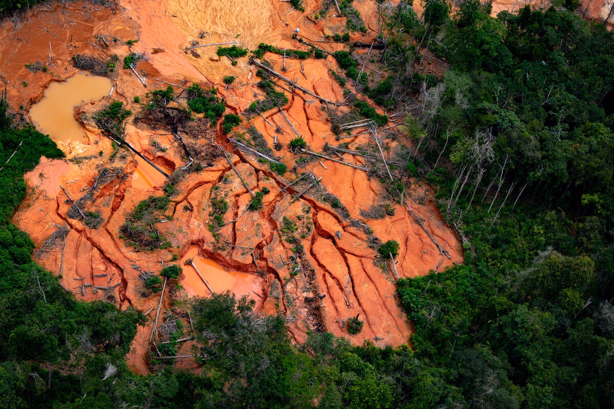 Is mining a key driver of deforestation in Brazil?