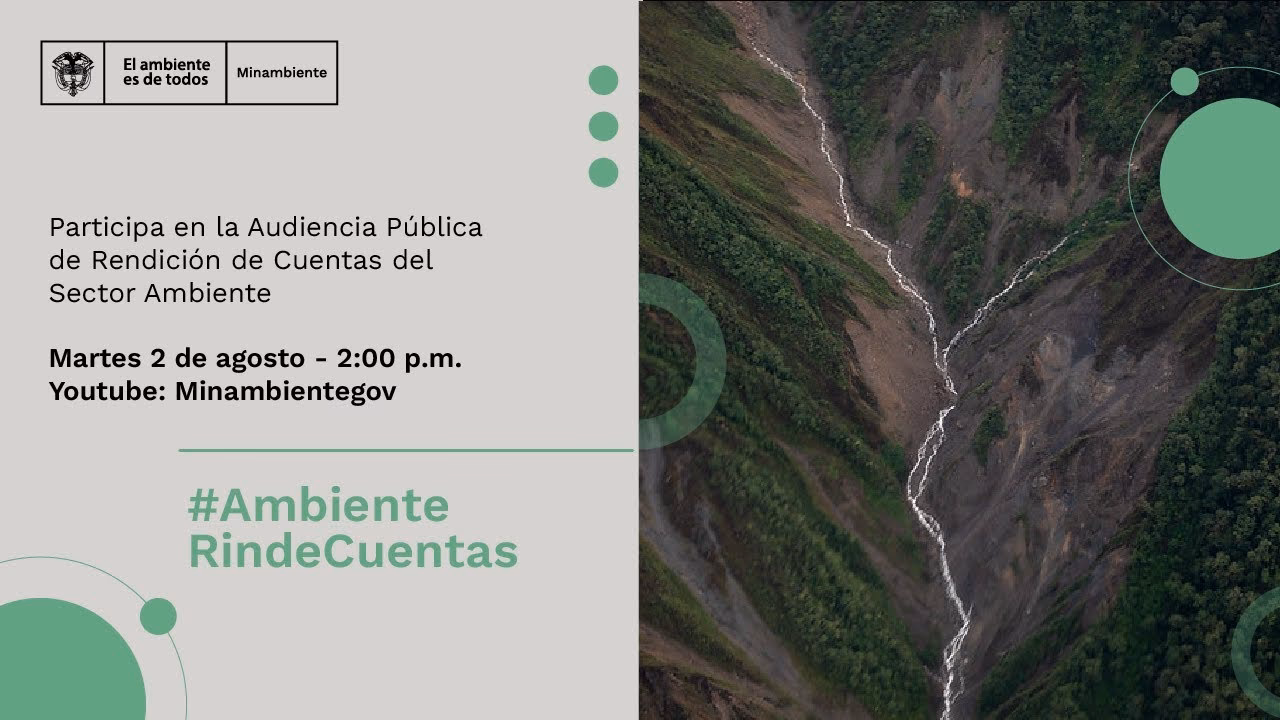 ¿Quién puede asistir a la audiencia pública ambiental?