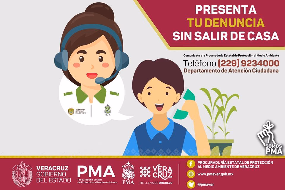 ¿Cómo hacer una denuncia en el Ministerio de Educación?