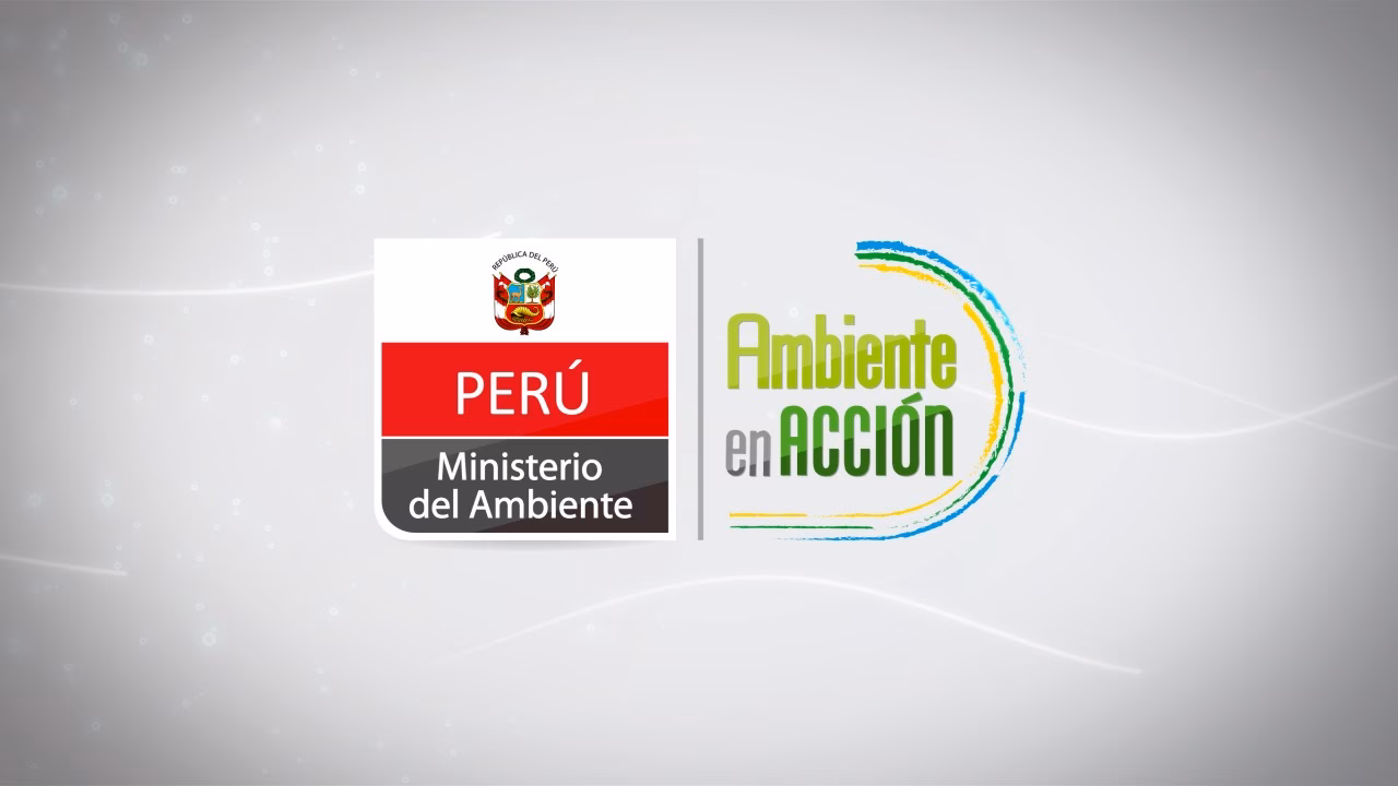 ¿Qué servicios ofrece el Ministerio del ambiente?