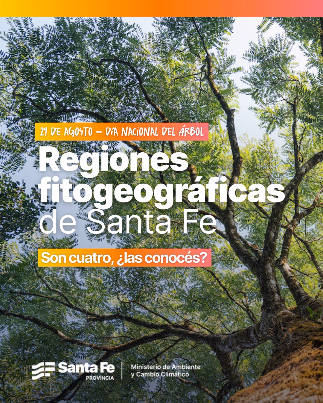 ¿Cómo se sostiene el Ministerio de la fe?