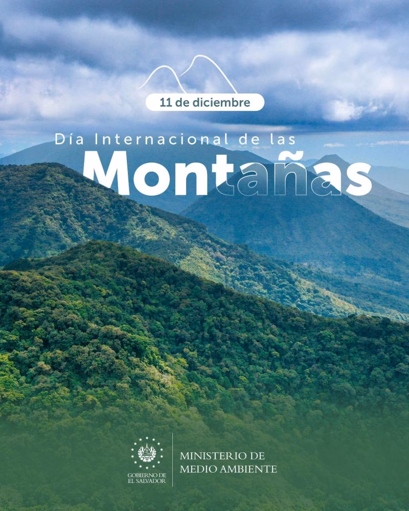 ¿Cómo ver los servicios de los ministerios nacionales de El Salvador?