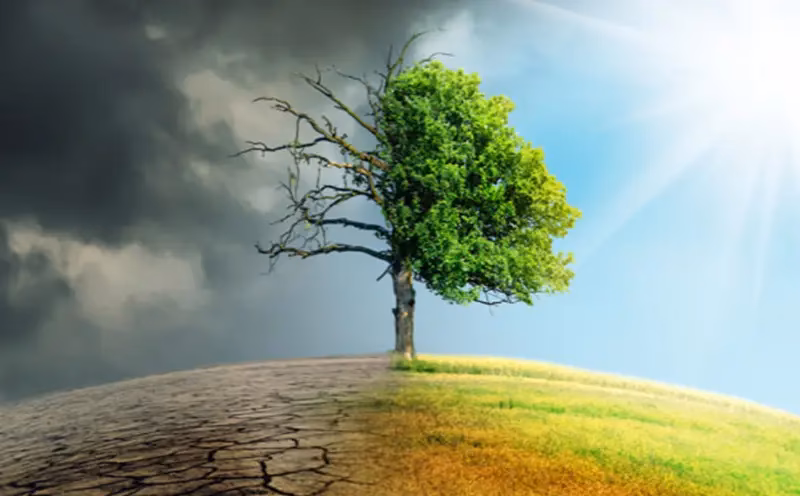 ¿Qué es mitigar el cambio climático?