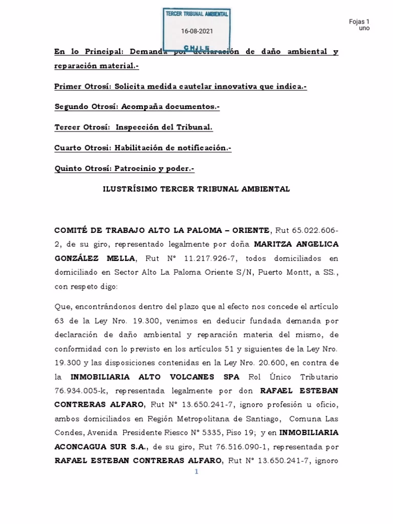 ¿Cuáles son los requisitos para interponer una demanda?