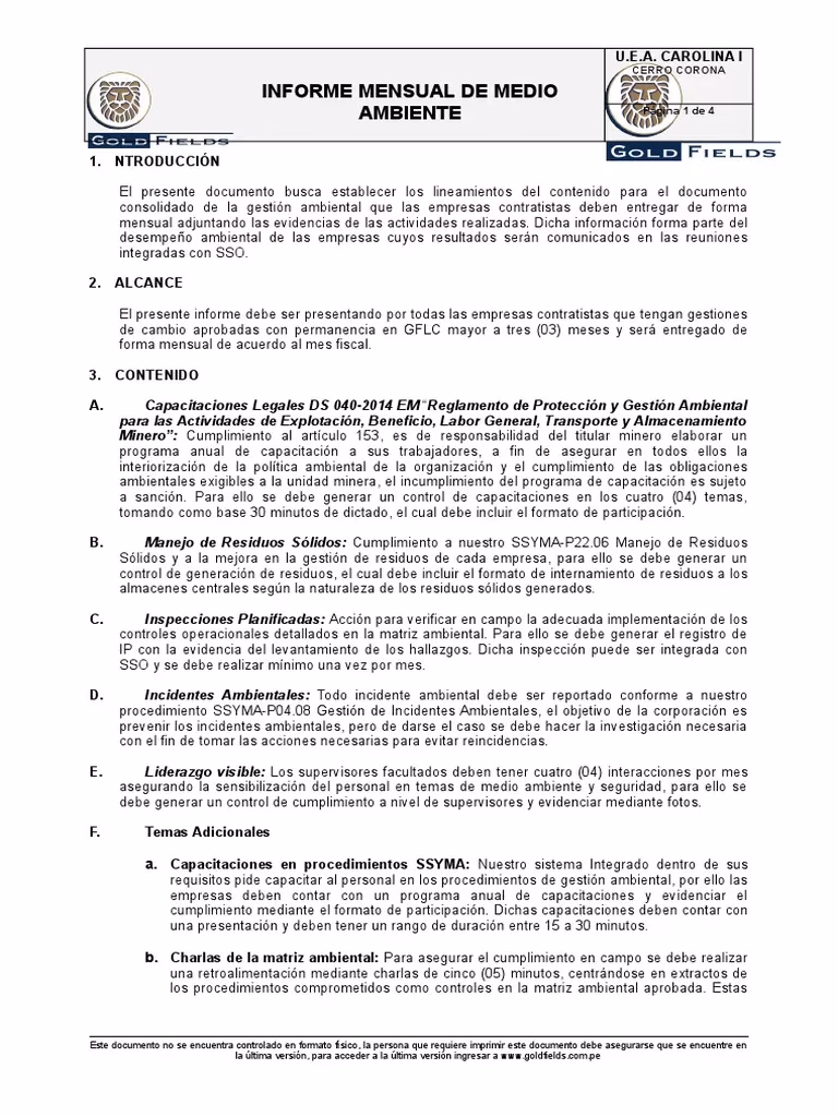 ¿Qué se debe hacer antes de escribir el informe de medio ambiente?