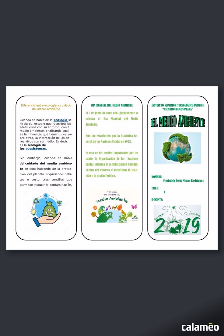 ¿Qué es el catálogo de medio ambiente?