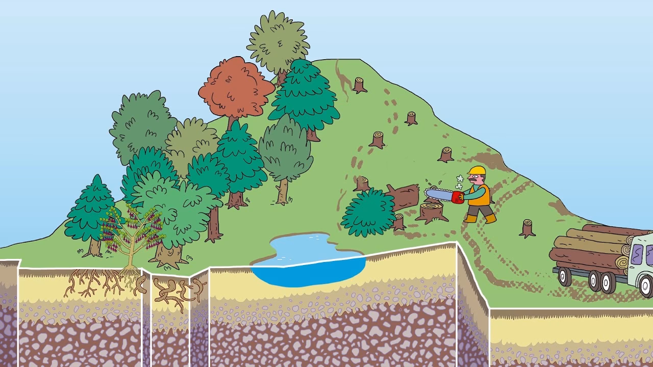 ¿Cómo podemos hacer frente al cambio climático y a la degradación del Medio Ambiente?