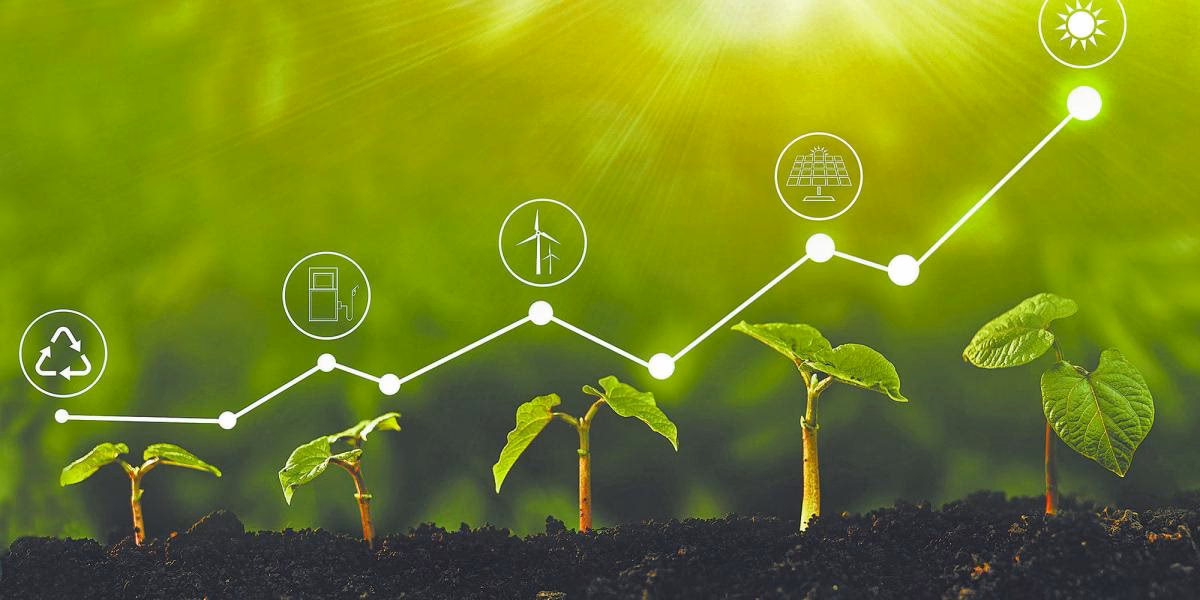 ¿Cómo promover un medio ambiente saludable?