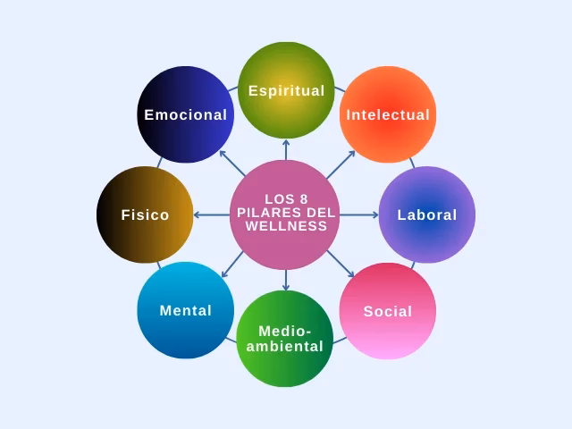 ¿Qué es el medo ambiente?