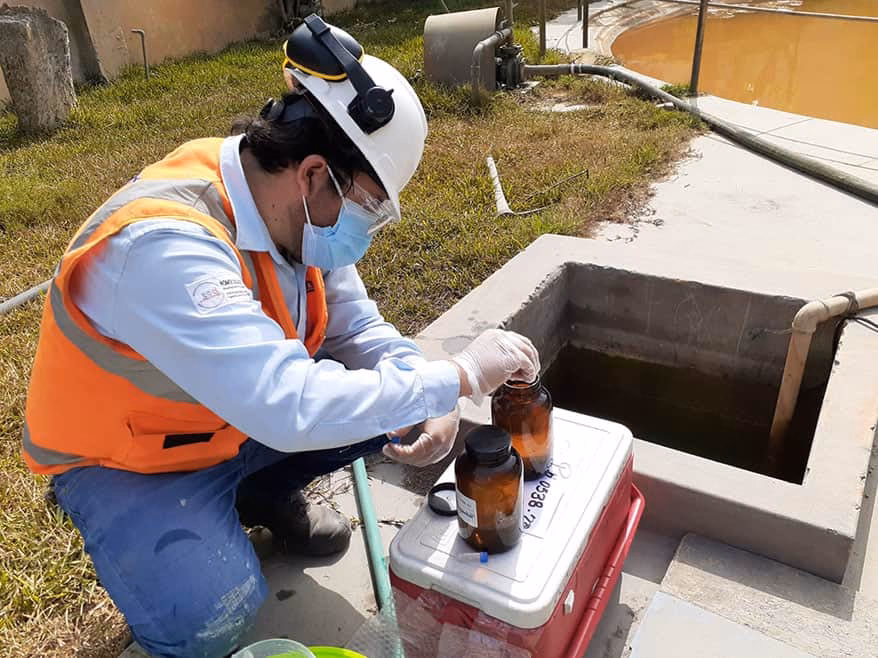 ¿Qué es la guía de gestión de residuos verdes?