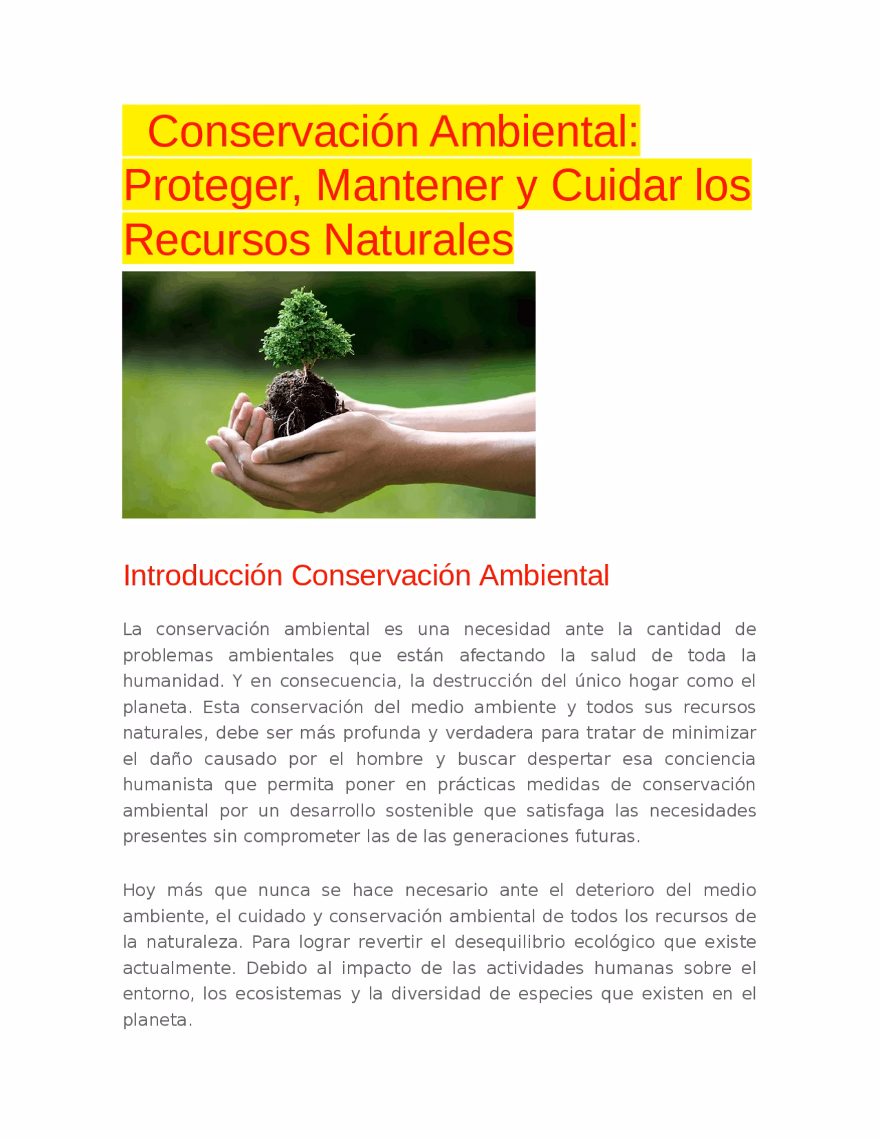 ¿Cómo proteger el medio ambiente?