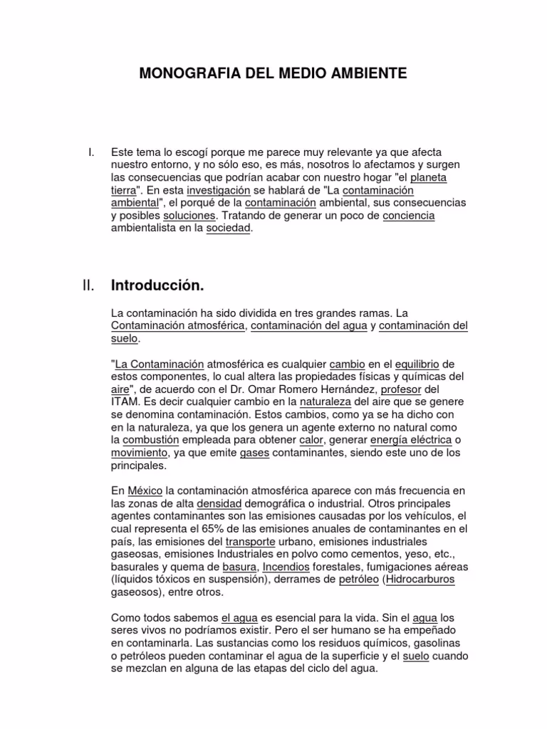 ¿Por qué es importante el medio ambiente?