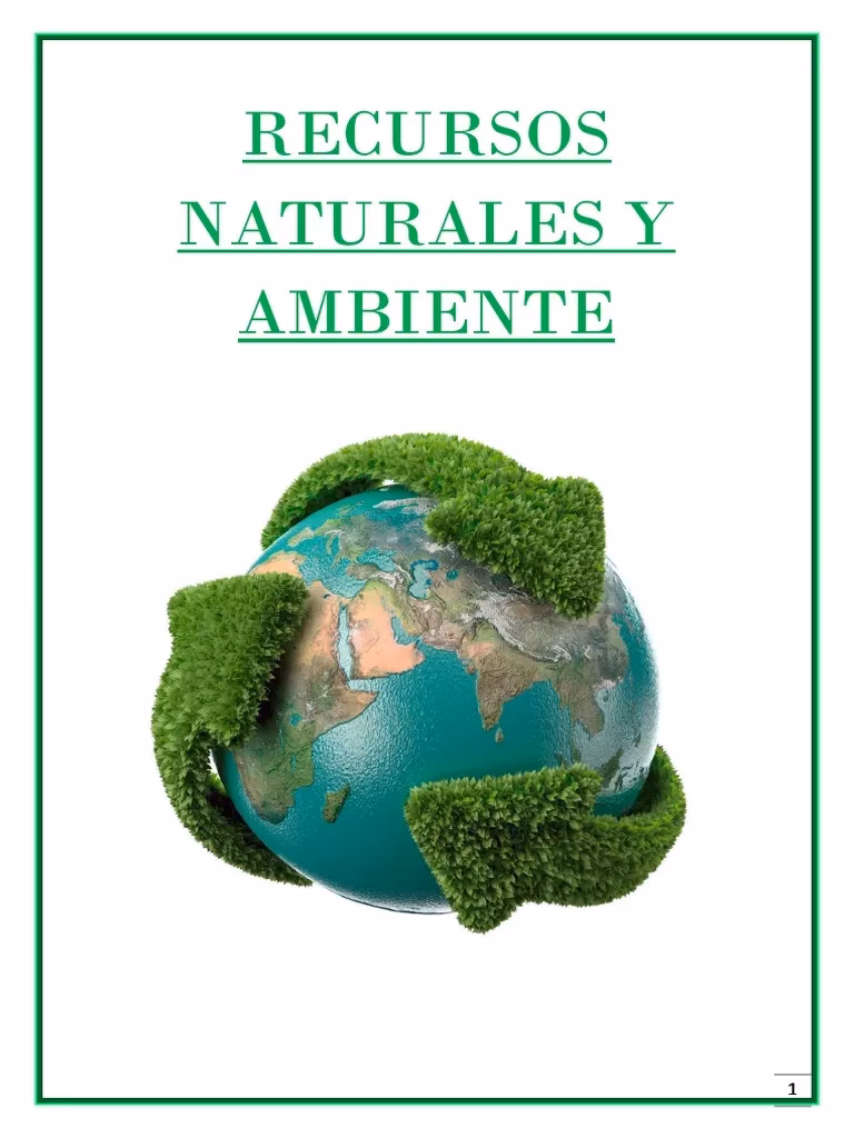 ¿Qué hace un abogado especializado en delitos contra los recursos naturales y el medio ambiente?