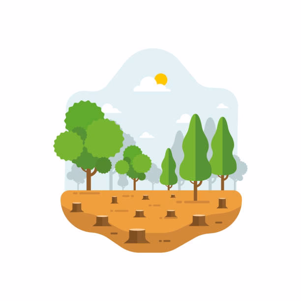 ¿Qué ofrece Getty Images sobre deforestación?