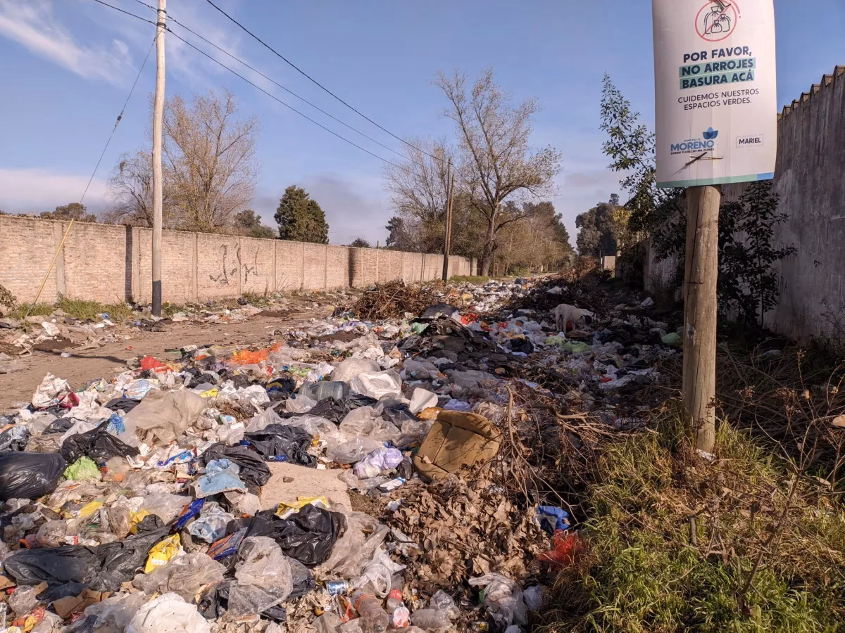 ¿Cómo afecta la basura marina al medio ambiente?