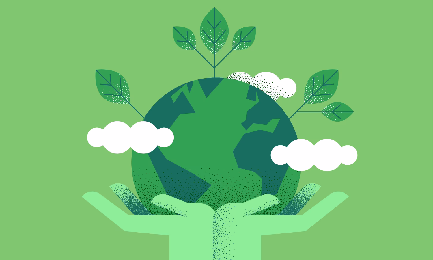 ¿Cómo afecta el medio ambiente a la salud humana?