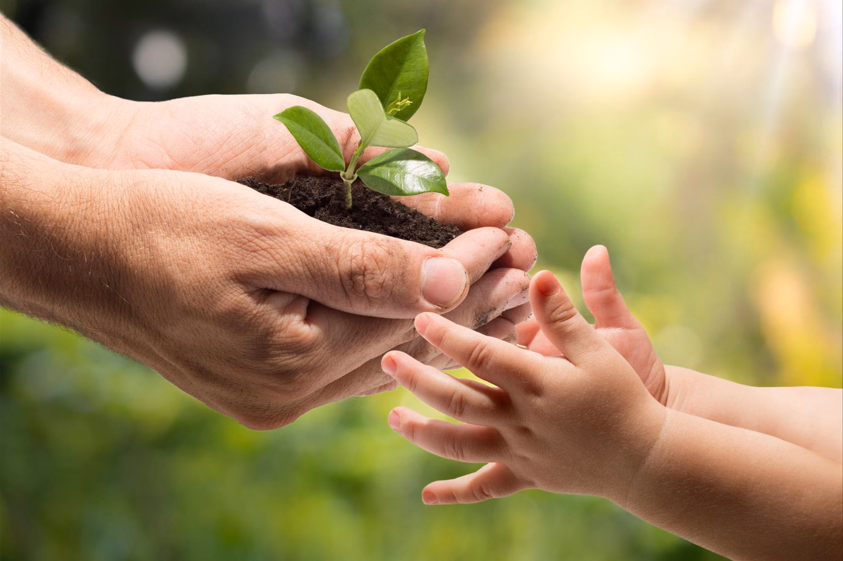 ¿Qué hace la iglesia por el medio ambiente?