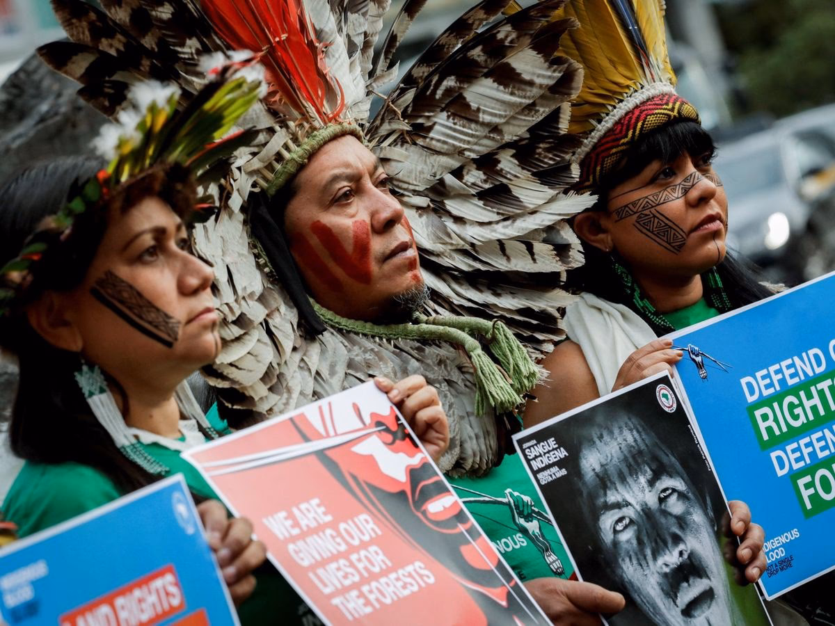 ¿Cuáles son los países clave en la deforestación?