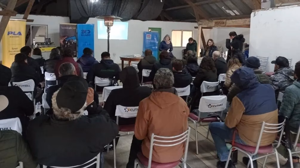 ¿Dónde puedo consultar los servicios en alojamientos de la ciudad de Tandil?