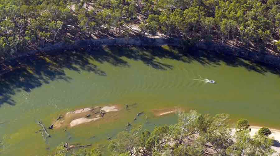 ¿Cuáles son los problemas ambientales de la cuenca Murray-Darling?