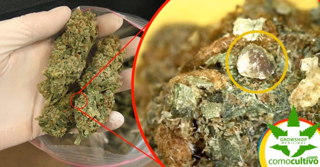 ¿Cuál es la diferencia entre muscovita y calcita?