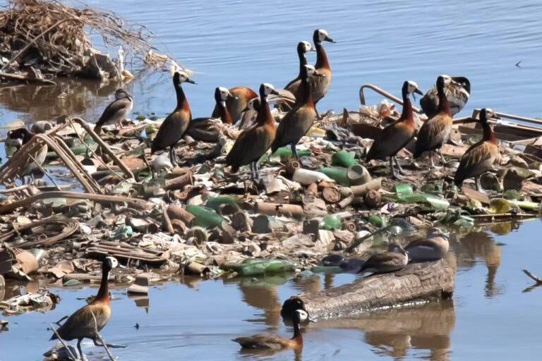 ¿Cuáles son los museos más afectados por el cambio climático?