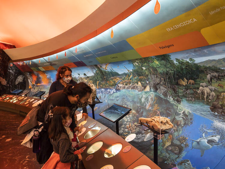 ¿Cómo proteger el entorno de un museo?