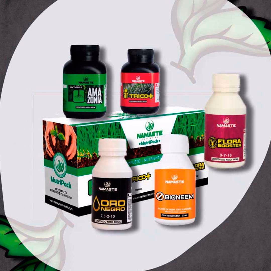 ¿Qué significa el gesto de namasté?