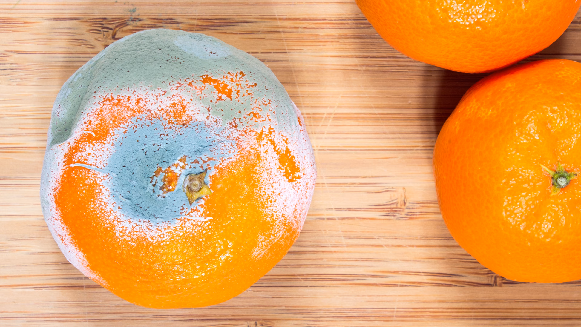 ¿Cuántas toneladas de naranjas ingresaron al país de contrabando?