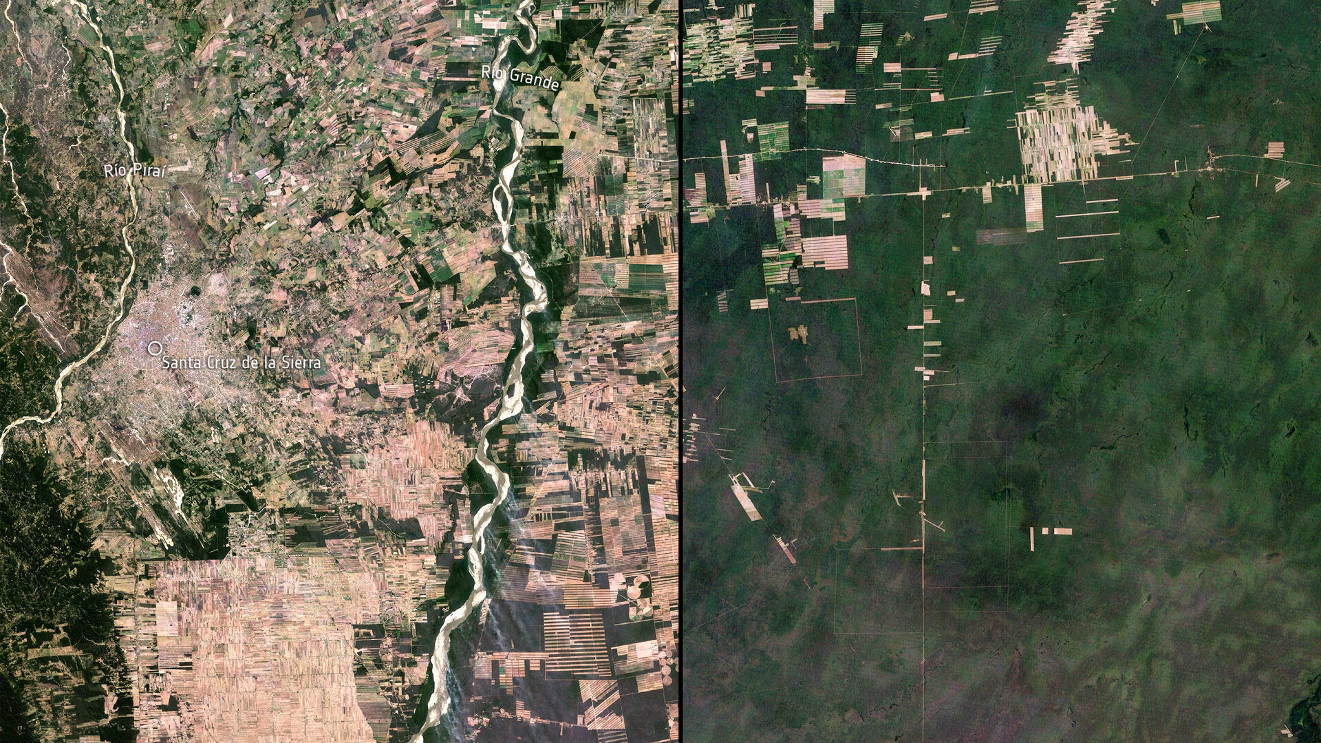 What is a digital photograph of deforestation?