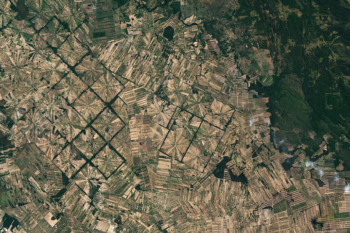 What is a digital photograph of deforestation?