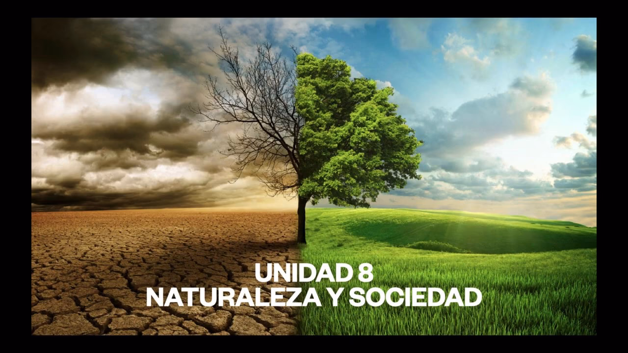 ¿Dónde se desarrollaron los temas de la sociedad y el ambiente?