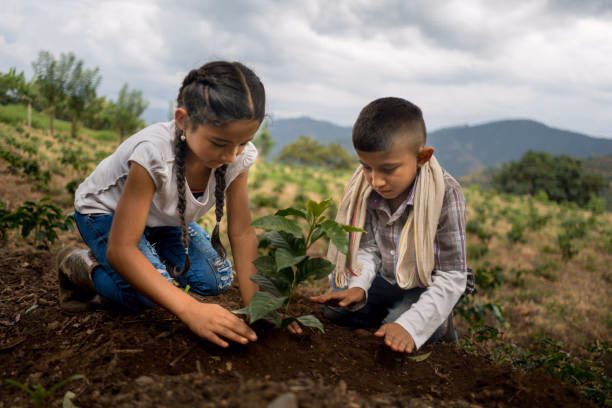 ¿Cuáles son las mejores plantas para niños?