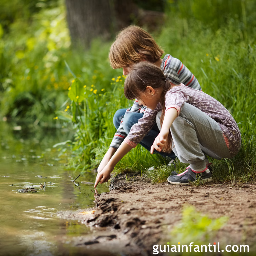 ¿Por qué los humedales están en riesgo de desaparecer?