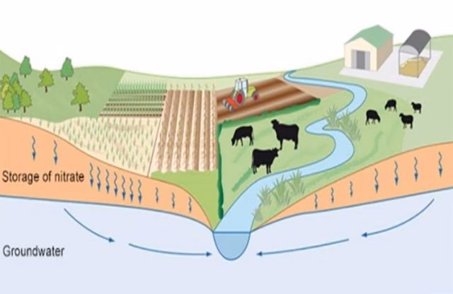 ¿Cómo se determina la contaminación por nitritos y nitratos?
