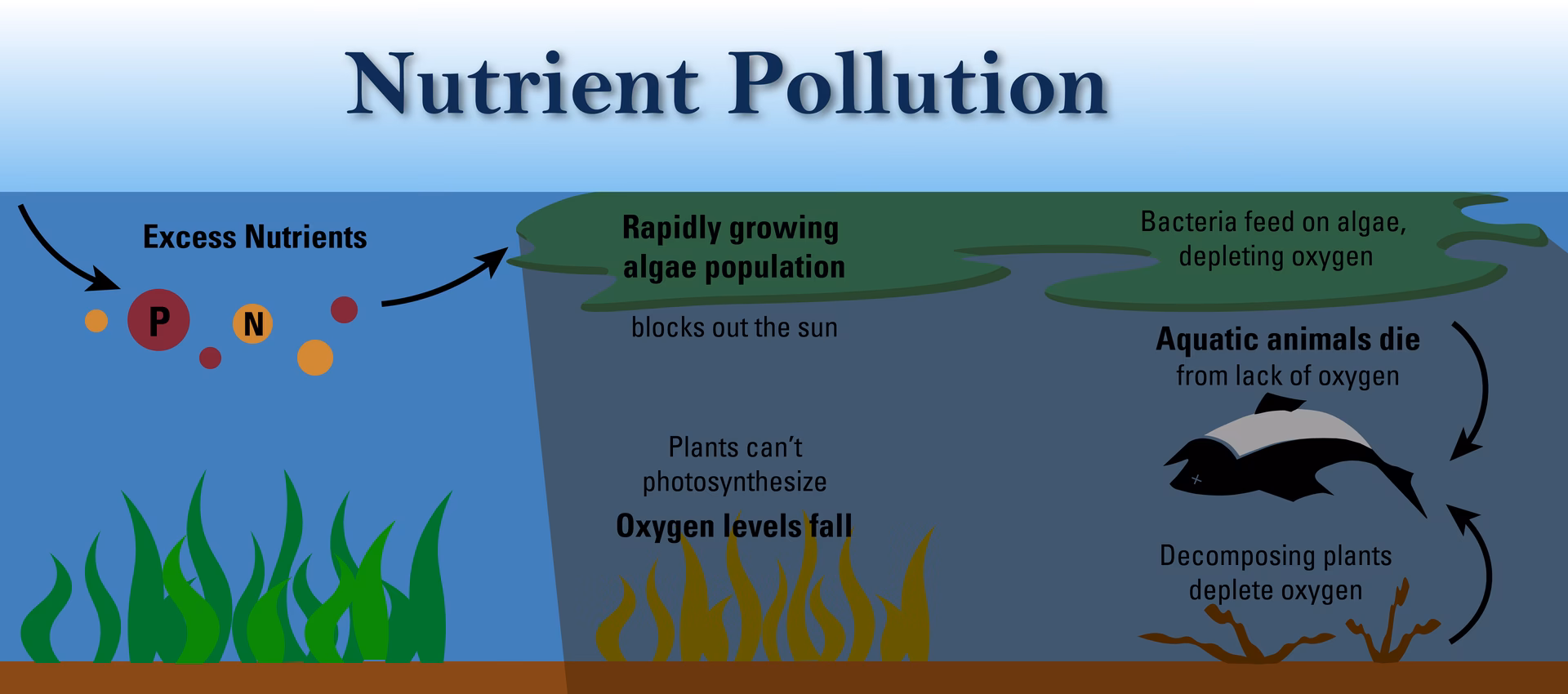 Why is nitrogen pollution a major cause of concern?