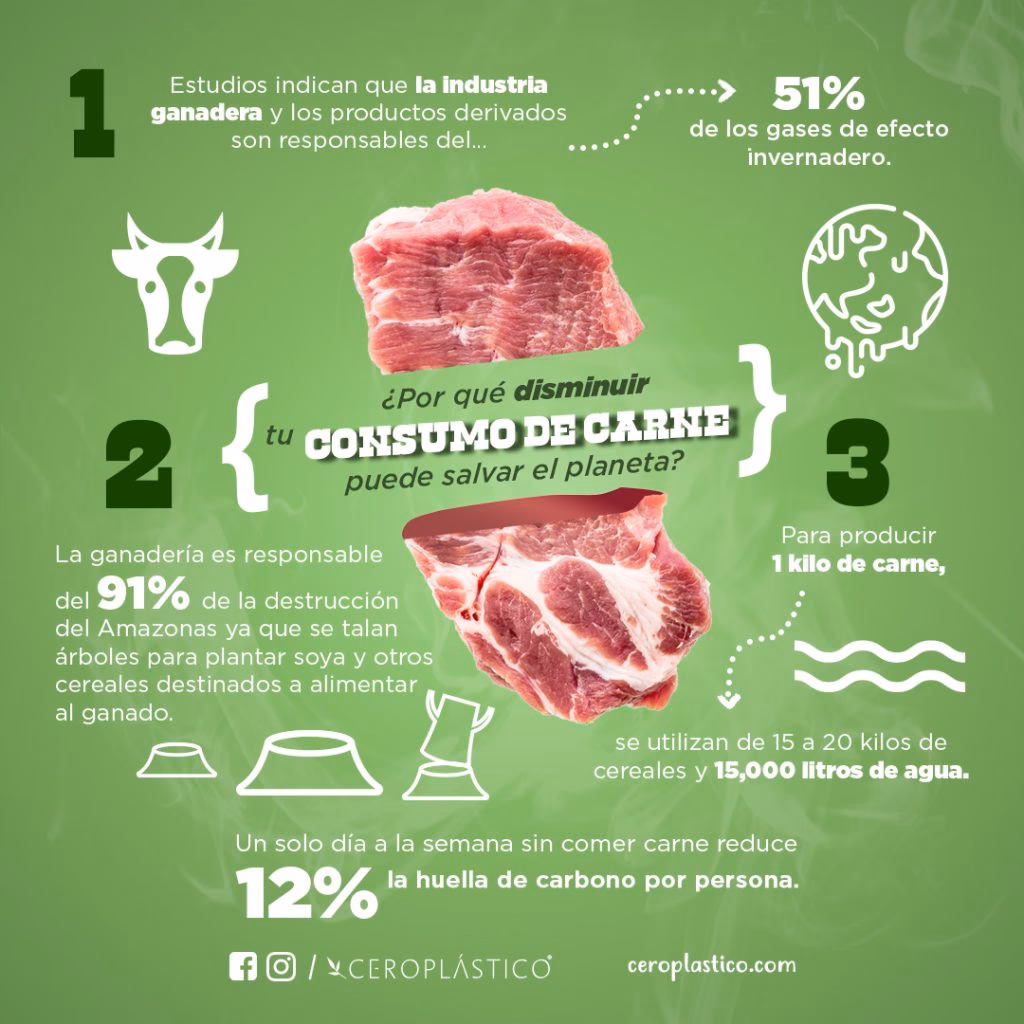 ¿Cuál es el consumo de carne por individuo en estas regiones?