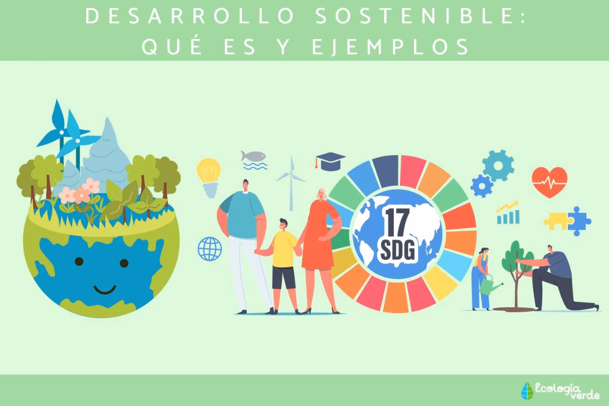 ¿Qué es el informe de sostenibilidad ambiental?