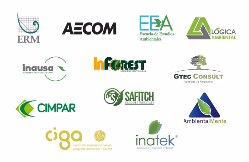 ¿Cómo crear nombres de Empresas de conservación ambiental?