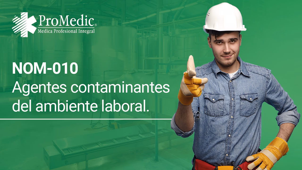 ¿Cuál es la normativa a la que está sujeta la industria respecto al control de emisiones contaminantes?