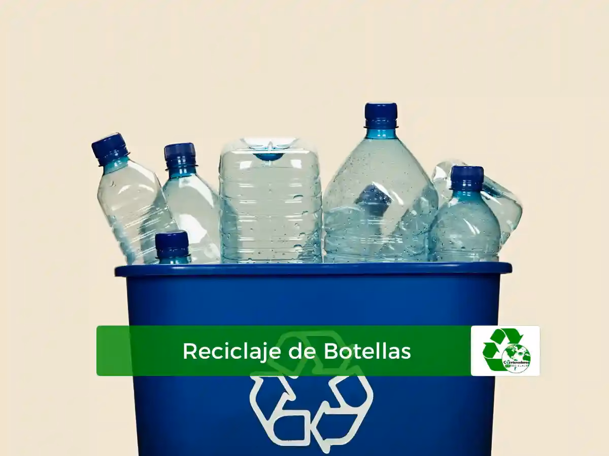 ¿Cómo afecta el plástico al medio ambiente?