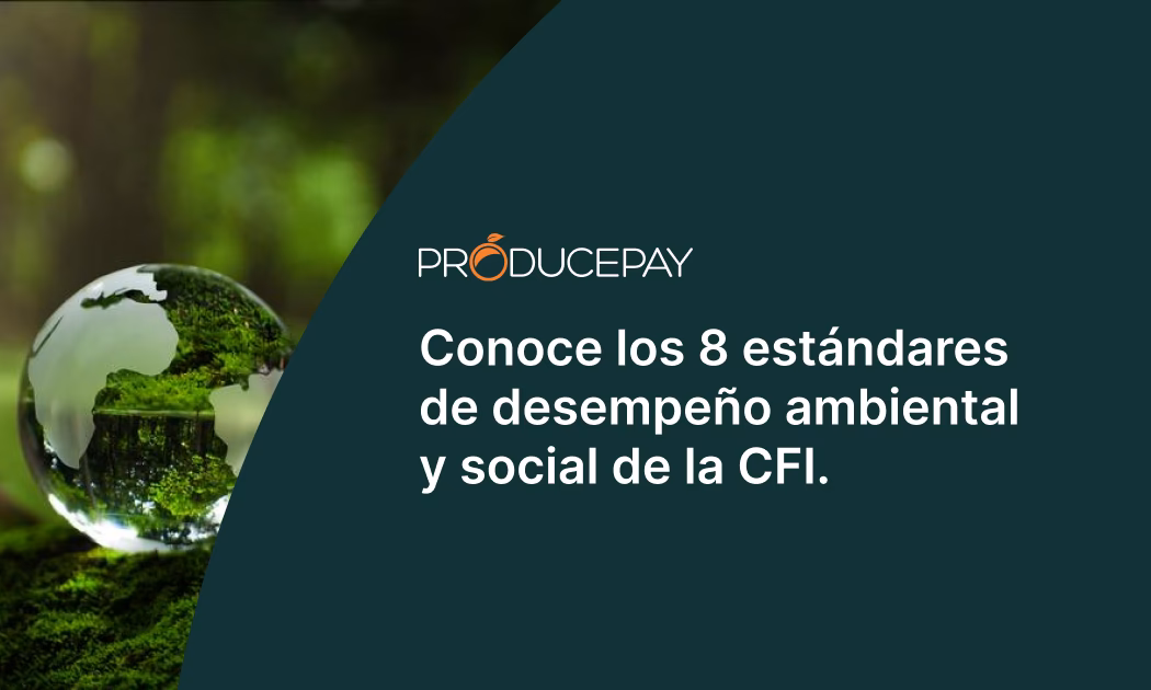 ¿Qué son las normas de desempeño?