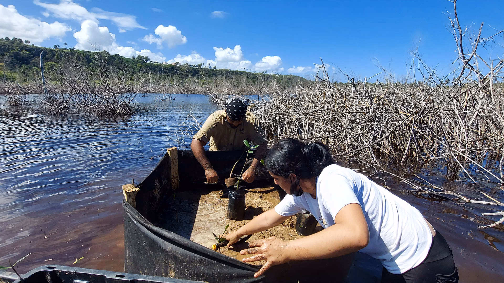 ¿Cuáles son los requisitos para ser responsable de la protección y conservación del Medio Ambiente?