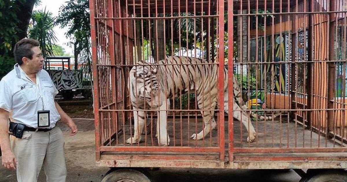 ¿Cuáles son las políticas públicas ambientales del municipio de Tigre?