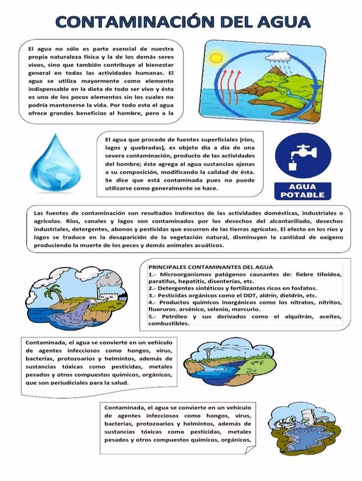 ¿Por qué no hay personas que padecen enfermedades por la ingesta de agua contaminada?