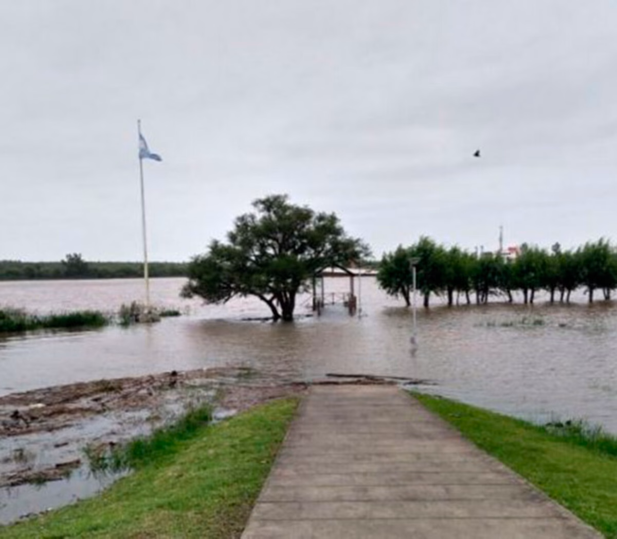 ¿Cuáles son los efectos del cambio climático en Sudamérica?
