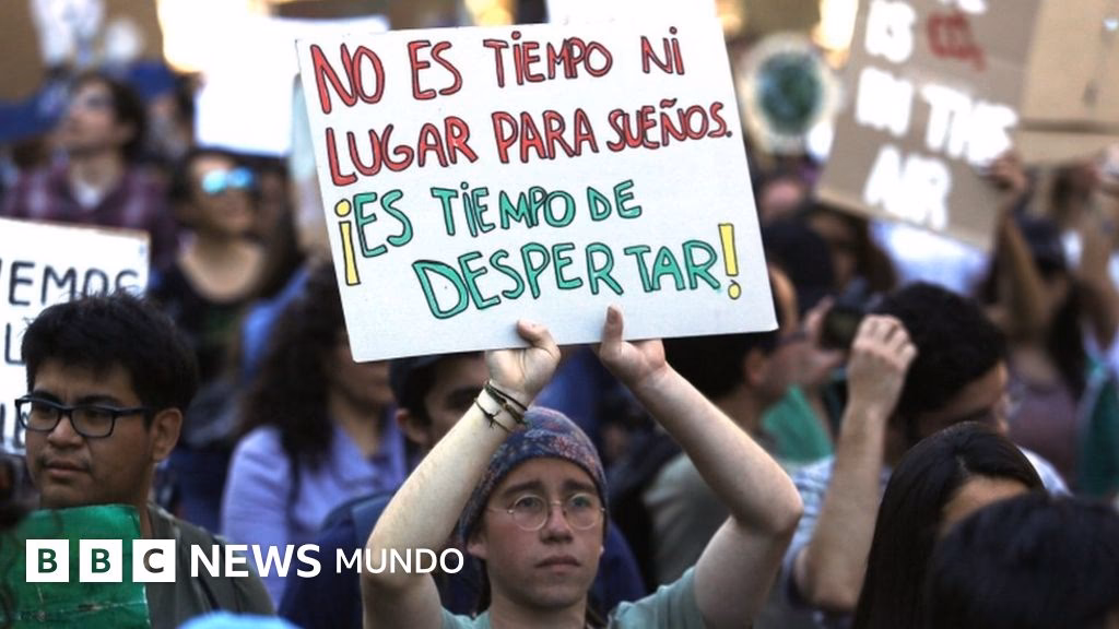 ¿Cómo afecta el cambio climático a los insectos?