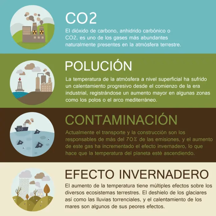 ¿Cuál es el impacto de la toma de decisiones informadas y responsables en el medio ambiente?