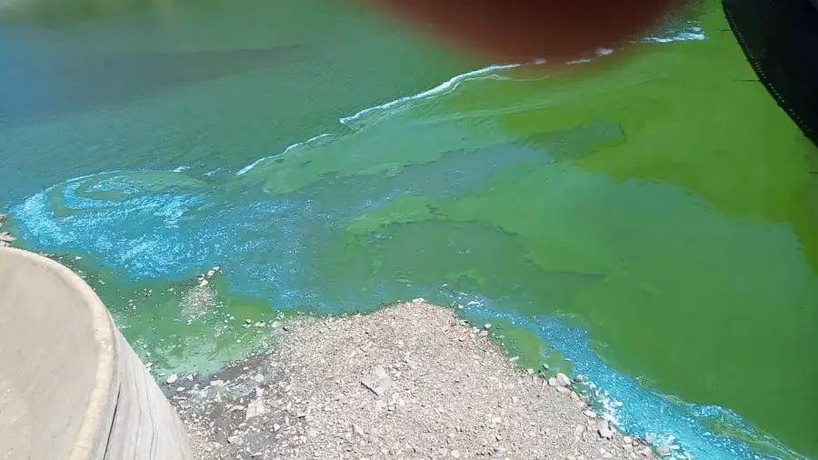 ¿Cómo era el lago valenciano antes del proceso de contaminación?